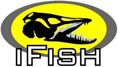 I-FISH