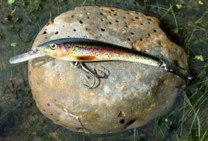 TRX Minnow