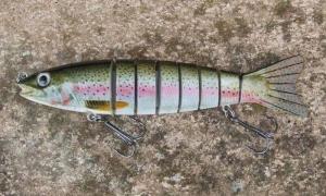 MISS TROUT 155