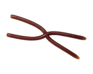 REINS Cross Swamp