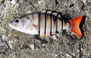 MISS PERCH 100